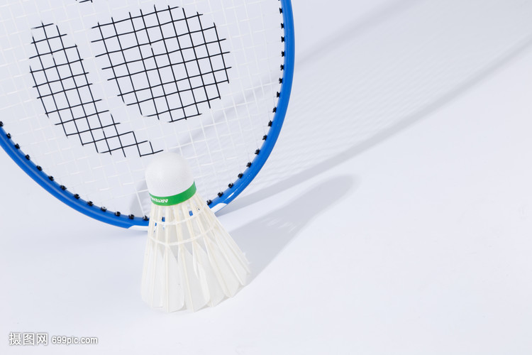 魔术队的新 魔术队的新